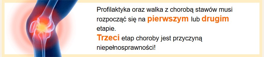 HONDRO SOL imagem fundo 2